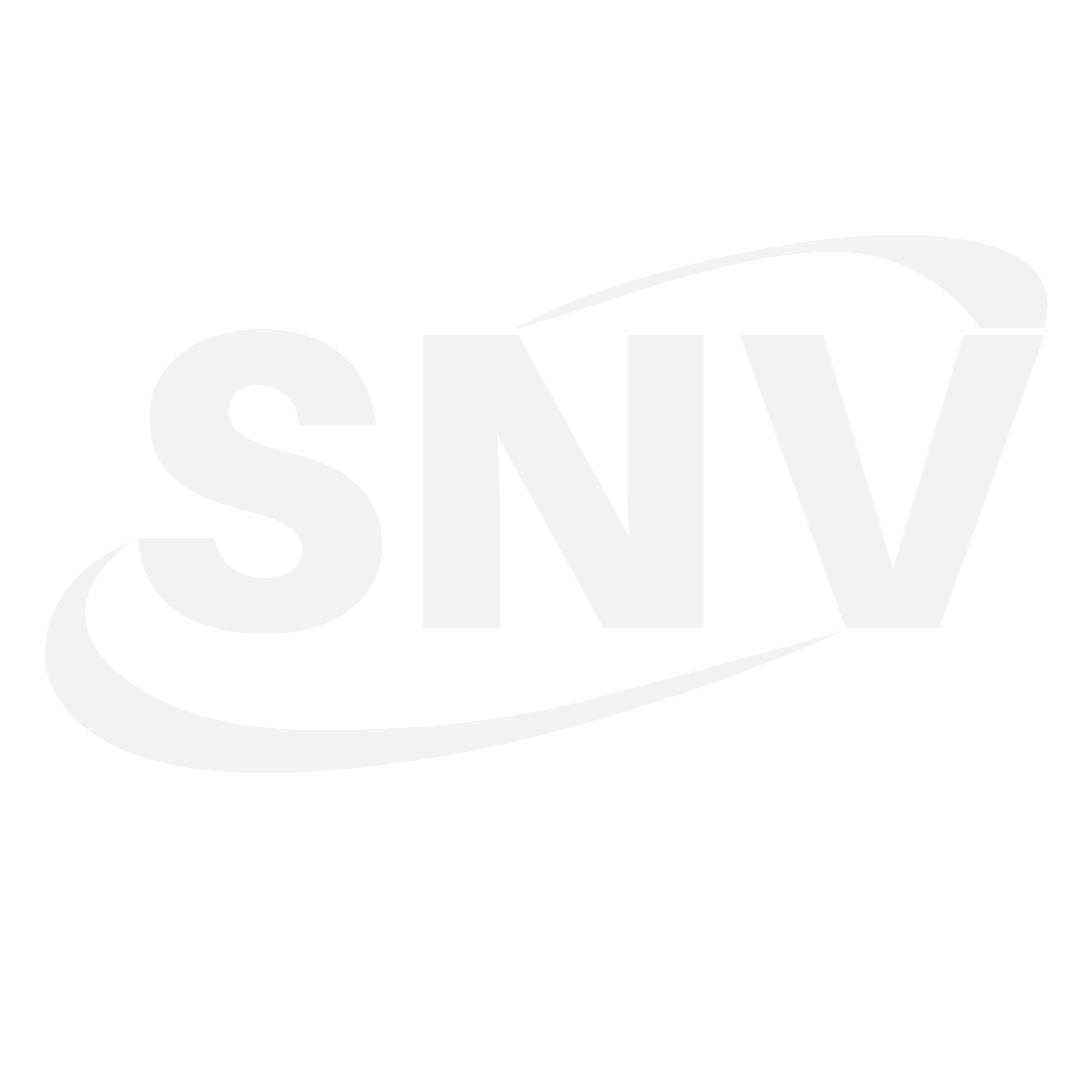 SNV Logo